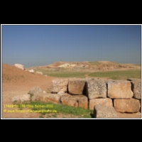 17469 04 091 Ebla Syrien 2011.JPG